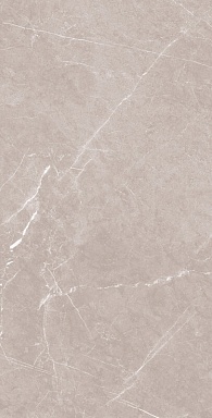Керамогранит Artcer 1069 Monte Grigio Carv 120x60