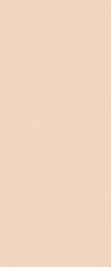 Плитка FAP Ceramiche fTDW True Color Talc Matt RT 50x120