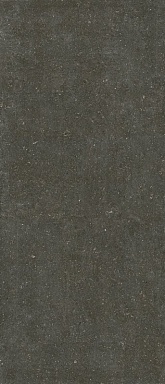 Керамогранит Casa Dolce Casa 785573 Rinascenza Arena Platino Matte 6mm 120x280