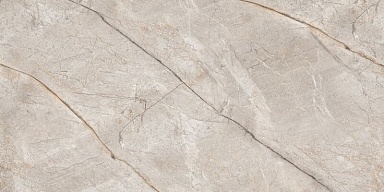 Керамогранит Neodom N80016 Silver Stone Carving 60x120