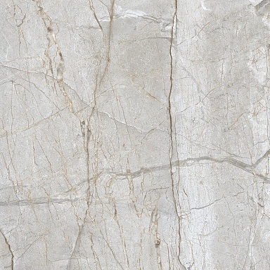 Pulsar Grey Laparet