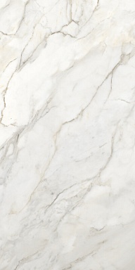 Керамогранит Ennface ENMAR8001GL60120 Amulet Glossy 60x120