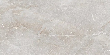 Керамогранит Art Ceramic Stonico Oyster Grey Glossy 60x120