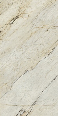 Керамогранит Serenissima Cir Calacata Dorato Silk Rett 60x120