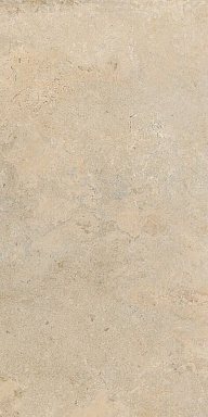 Керамогранит Cercom 1090665 Stone Vision Golden Rett 60х120