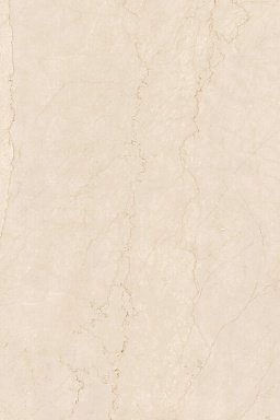 Керамогранит Artcer 942 Bottochino Classico 180x120