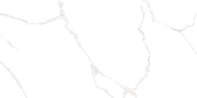 Плитка AltaCera WT9ELT00 Elemento Bianco Carrara 250*500*9