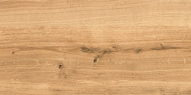 Керамогранит Cersanit C-WS4O112D Woodhouse коричневый 29,7х59,8