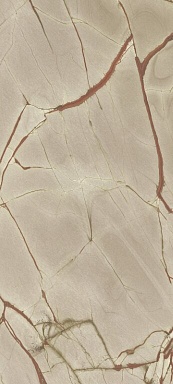 Керамогранит Casa Dolce Casa 774673 Nature Mood Rainforest Glossy 80x180