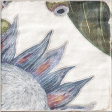 Декор Mainzu Decor Protea 20x20