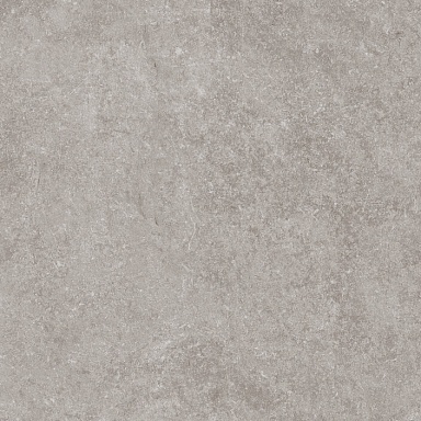 Керамогранит Porcelanosa 100324749 Verbier Silver 59.6x59.6