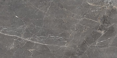 Керамогранит Ocean-Ceramic Tulip Grey Glossy 60x120