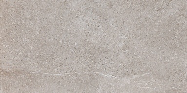 Керамогранит Pamesa 050.869.0344.00714 Es.Erding Ash Luxglass 60x120