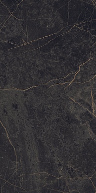 Керамогранит Ariana Ceramica PF60004299 Epoque Black Lap 60X120
