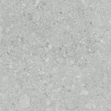 Керамогранит LB-Ceramics 6461-0425 Иней Tech Серый 60х60