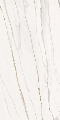 Керамогранит Serenissima Cir Florentino Silk Rett 60x120