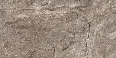 Керамогранит Leopard 6405 Stone Grey Polished 60x120
