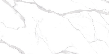 Керамогранит NT Ceramic NTT99512M Statuario Ultra White 60x120