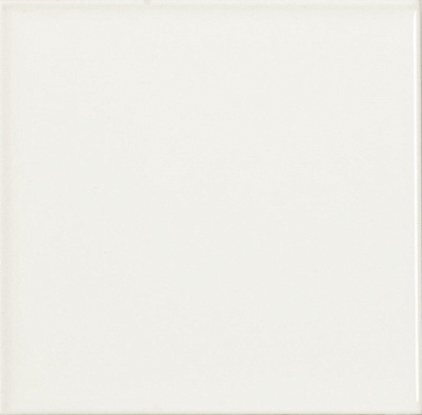 Плитка Dar Ceramics Liso Blanco Mate 10х10
