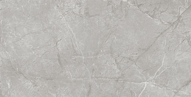 Керамогранит Alpas Euro Kera Radisson Grey Matt 60x120
