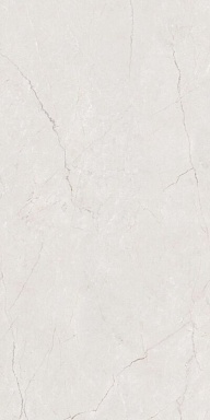 Керамогранит BELLEZA Cason Grey Carving 60х120