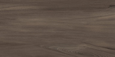 Керамогранит Artkera Group GP36GOA21 Goa Marron матовый 300x600x8