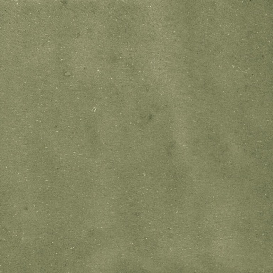 Керамогранит Harmony 43292 Samira Sage 10x10