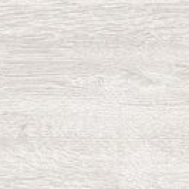 Wild Wood PrimaVera