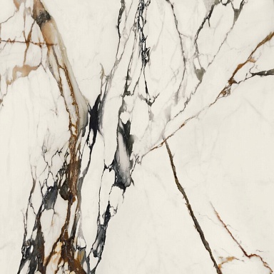 Керамогранит Porcelanosa 100331132 Xlight Paonazzo Biondo Polished 120x120