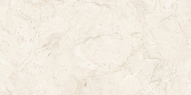 Керамогранит NT Ceramic NTT99523C Stone Almond Endless 60x120