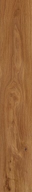 Керамогранит Creto FR01 Forest Amber неполированный 19,4х120