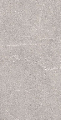 Керамогранит Arcadia Ceramica RG6001-A Equistone Gris Rotto Glossy Ink 60x120
