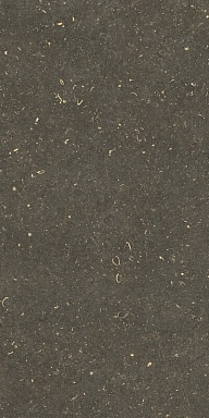 Керамогранит Casa Dolce Casa 785511 Rinascenza Arena Platino Grip 20mm 60x120