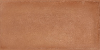 Керамогранит Cerdomus 88368 Crete Terracotta Matt 20x40