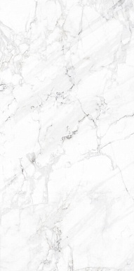 Керамогранит ProGRES Ceramica NR0302 Calacatta M серый светлый 1200х600х9,5