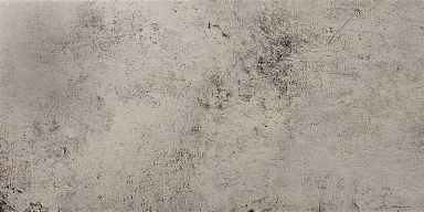 Керамогранит Ceracasa Evolution Gris 49.1x98.2
