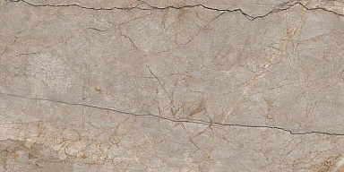Керамогранит Cersanit 17124 Silver Roots серый матовый ректификат 60x120