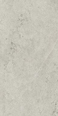 Керамогранит Italon 610010002628 Metropolis Absolut Silver Nat Rett 60x120
