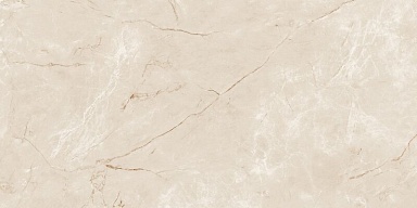 Керамогранит Neodom N20564 Siena Caramel Lap Carving 60x120