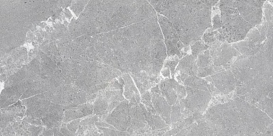 Керамогранит ProGRES Ceramica NR12060401-M Гарсия Серый матовый 1200x600x9.5