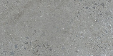 Керамогранит Dune 188999 Pietra Viva Grey 60x120