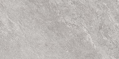 Керамогранит Global Tile GT5010027401MCR Виталити Серый 50x100