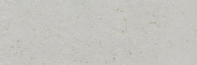 Плитка Ibero R0002309 Botanical Savia Rect. 30x90