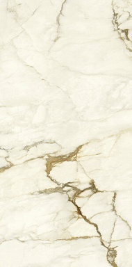 Керамогранит Ariostea PK612575 Calacatta Macchia Vecchia Levigato Silk ret 60x120