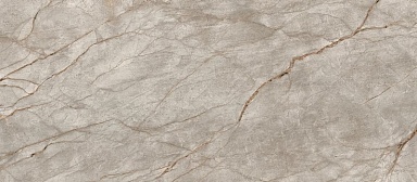 Керамогранит Атлас Конкорд Россия 600180000015 Empire Silver Root Lapp 120x278