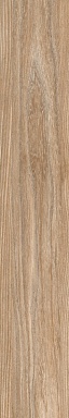Керамогранит Keraben Poeme Brandy 120x20