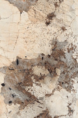 Керамогранит Creto MPL-062342 Patagonia Bronze High Gloss 120х180