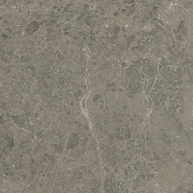 Керамогранит Atlas Concorde Italy AJI8 Marvel Meraviglia Grigio Elegante Lapp. 60x60