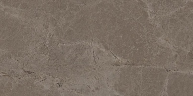 Керамогранит Mozart Iconic Truffle Matt 60x120