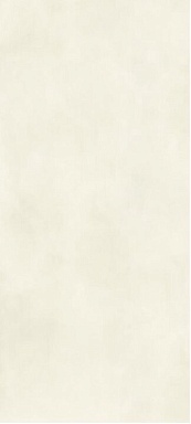 Керамогранит Janye Slab JA3009M Putty White Text 120x270